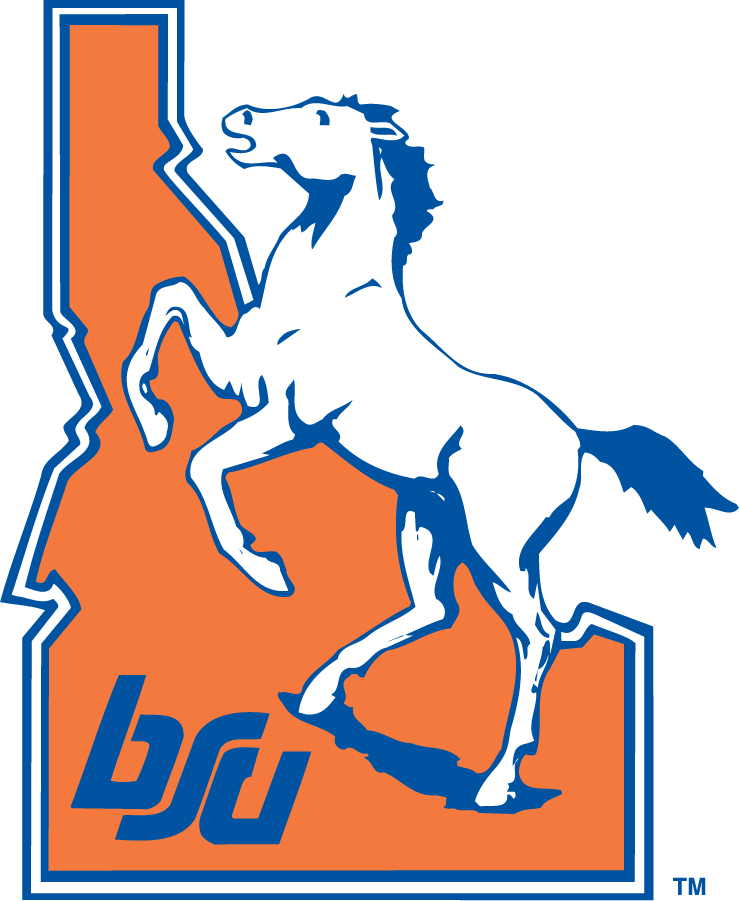 Boise State Broncos 1983-2002 Alternate Logo iron on transfers for T-shirts